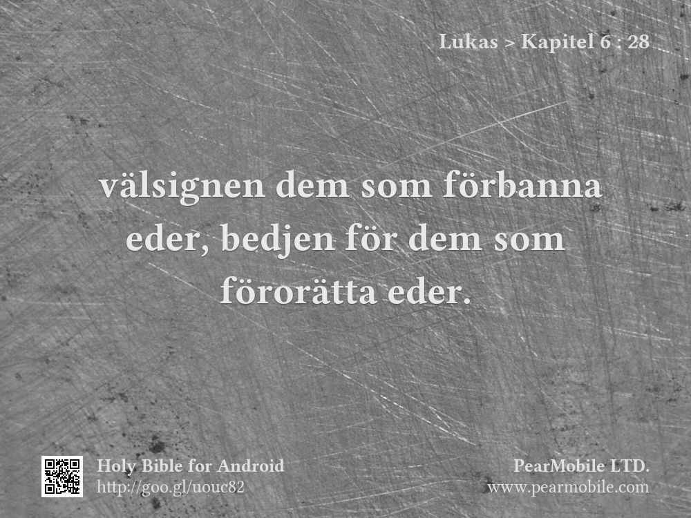 Lukas, Kapitel 6:28